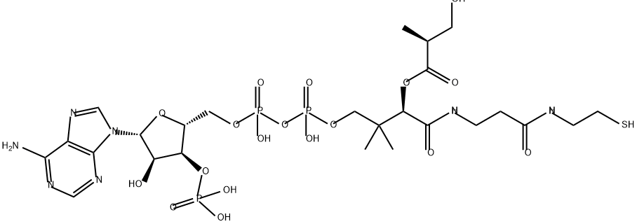 Coenzyme A, S-(3-hydroxy-2-methylpropanoate) Structure