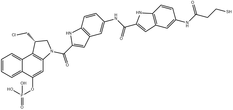 WS Structure