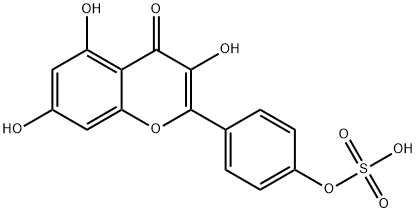 4-(3,5,7-Trihydroxy-4-oxo-4H-chromen-2-yl)phenyl hydrogen sulfate 구조식 이미지