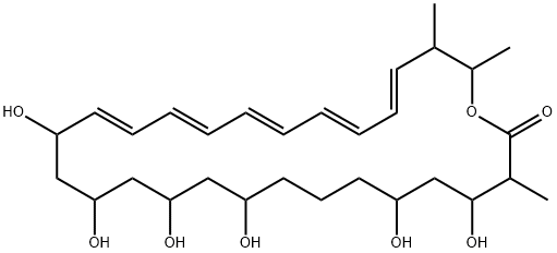 Takanawaene A Structure