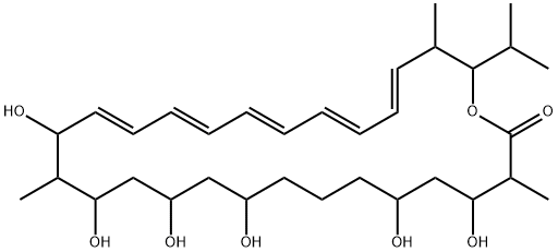 Takanawaene C Structure