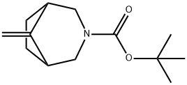 tert-butyl 8-methylene-3-azabicyclo[3.2.1]octane-3-carboxylate Structure