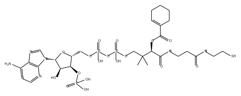 Coenzyme A, S-1-cyclohexene-1-carboxylate Structure