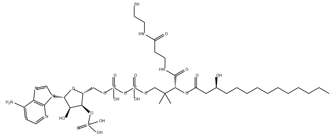 Coenzyme A, S-(3-hydroxytetradecanoate) Structure