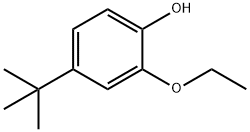 Phenol, 4-(1,1-dimethylethyl)-2-ethoxy- Structure