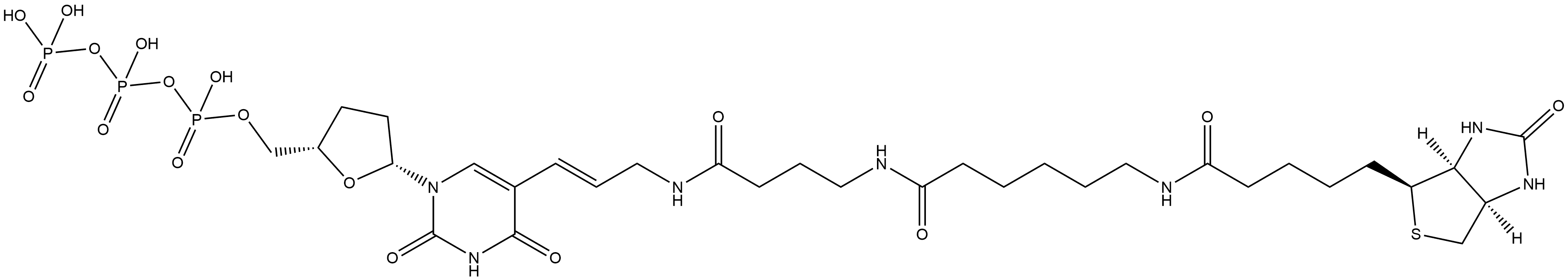 Biotin-16-ddUTP Structure