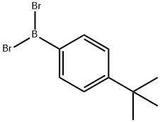 Borane, dibromo[4-(1,1-dimethylethyl)phenyl]- Structure