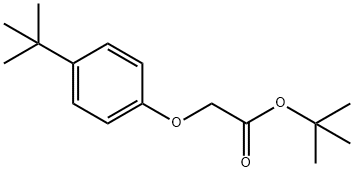 Acetic acid, 2-[4-(1,1-dimethylethyl)phenoxy]-, 1,1-dimethylethyl ester Structure