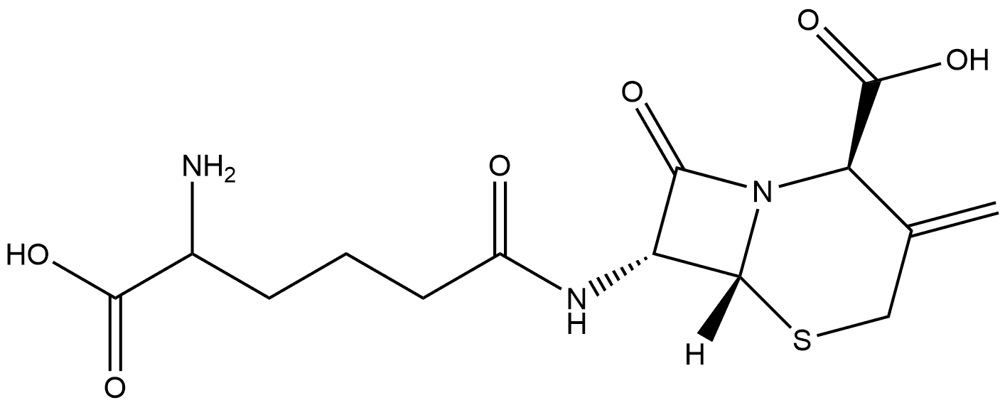 5-Thia-1-azabicyclo[4.2.0]octane-2-carboxylic acid, 7-[(5-amino-5-carboxy-1-oxopentyl)amino]-3-methylene-8-oxo-, [2R-[2α,6α,7β(R*)]]- (9CI) Structure