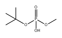 Phosphoric acid, mono(1,1-dimethylethyl) monomethyl ester Structure