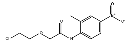 Acetamide, 2-(2-chloroethoxy)-N-(2-methyl-4-nitrophenyl)- 구조식 이미지