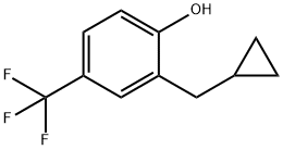2-(Cyclopropylmethyl)-4-(trifluoromethyl)phenol Structure