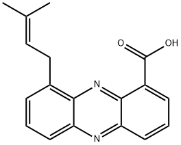 Endophenazine A Structure