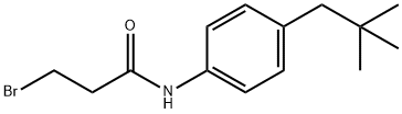 Propanamide, 3-bromo-N-[4-(2,2-dimethylpropyl)phenyl]- Structure