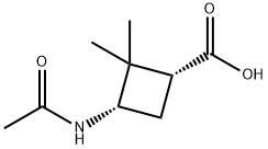 Cyclobutanecarboxylic acid, 3-(acetylamino)-2,2-dimethyl-, (1R,3S)- Structure