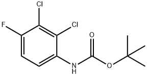 Carbamic acid, (2,3-dichloro-4-fluorophenyl)-, 1,1-dimethylethyl ester (9CI) Structure