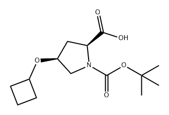 1,2-Pyrrolidinedicarboxylic acid, 4-(cyclobutyloxy)-, 1-(1,1-dimethylethyl) ester, (2S,4S)- Structure