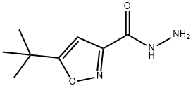 5-(tert-butyl)isoxazole-3-carbohydrazide Structure