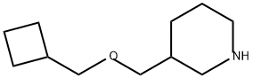 Piperidine, 3-[(cyclobutylmethoxy)methyl]- Structure