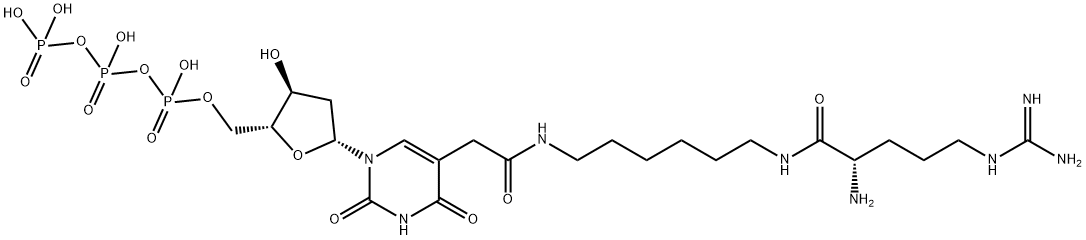 5-[2-[[6-[[(2S)-2-Amino-5-[(aminoiminomethyl)amino]-1-oxopentyl]amino]hexyl]amino]-2-oxoethyl]-2'-deoxyuridine 5'-(tetrahydrogen triphosphate) 구조식 이미지