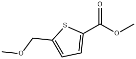 2-Thiophenecarboxylic acid, 5-(methoxymethyl)-, methyl ester 구조식 이미지