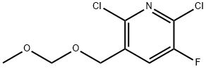 Pyridine, 2,6-dichloro-3-fluoro-5-[(methoxymethoxy)methyl]- 구조식 이미지
