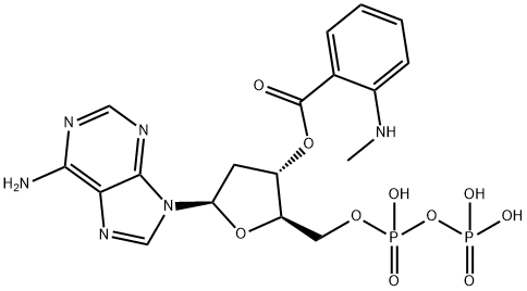 Mant-dADP Structure