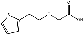 2-[2-(Thiophen-2-yl)ethoxy]acetic acid Structure