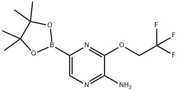 2-Pyrazinamine, 5-(4,4,5,5-tetramethyl-1,3,2-dioxaborolan-2-yl)-3-(2,2,2-trifluoroethoxy)- Structure