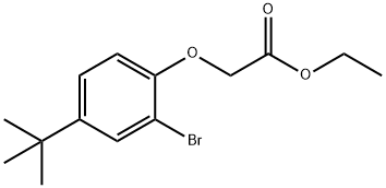 (2-bromo-4-tert-butyl-phenoxy)-acetic acid ethyl ester Structure