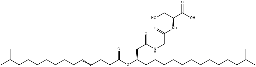 WB 3559 B Structure