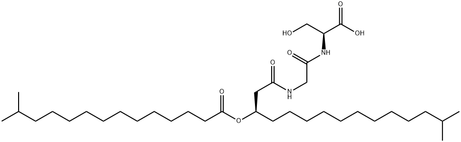 WB 3559 C Structure