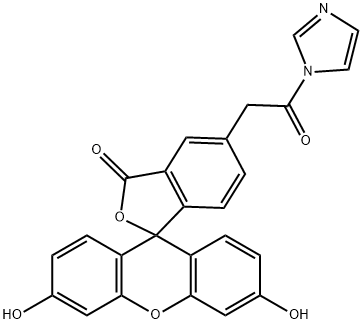 fluorescein n-acetylimidazole Structure