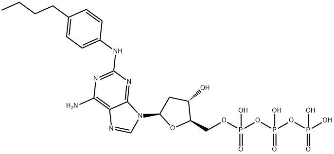 4-n-부틸아닐리노dATP 구조식 이미지