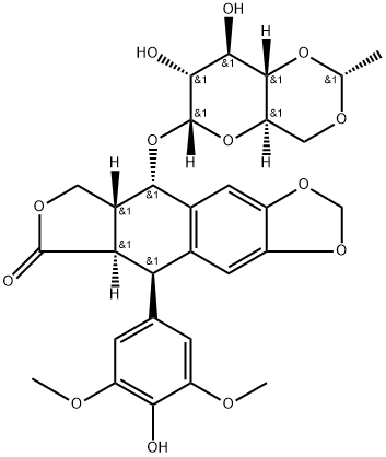 100007-53-2 α-Etoposide