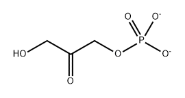 glycerone phosphate(2-) Structure