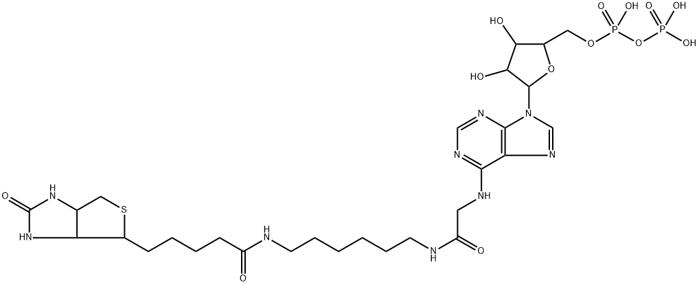 biotinyl-adenoside diphosphate Structure