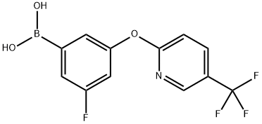 3-Fluoro-5-[[5-(trifluoromethyl)-2-pyridinyl]oxy]phenylboronic acid Structure