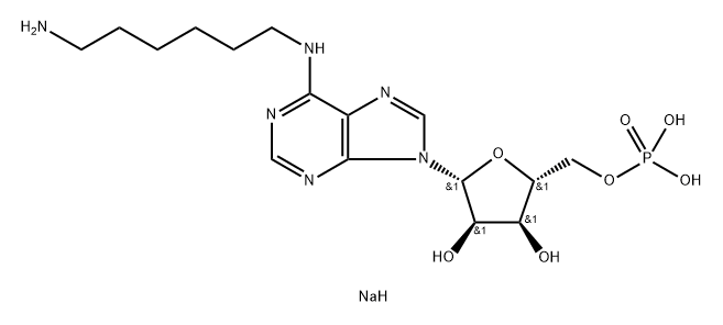 N(sup 6)(6-aminohexyl)adenosine 5'-monophosphate, sodium Structure