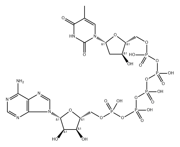 AP5dT Structure