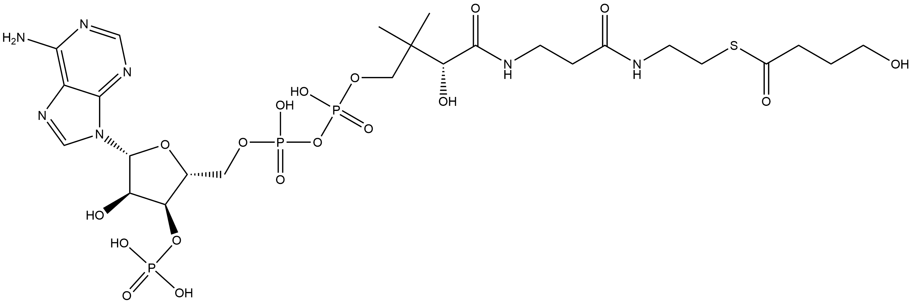 Coenzyme A, S-(4-hydroxybutanoate) Structure