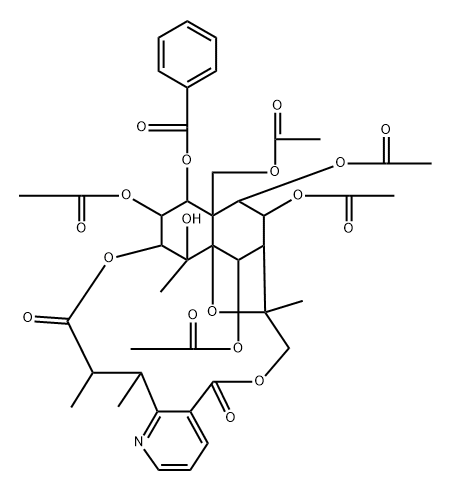 mayteine Structure
