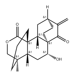 NC-043 Structure