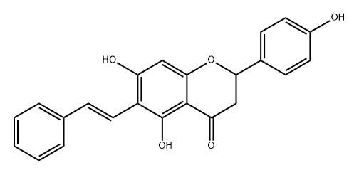 6 CEPN Structure