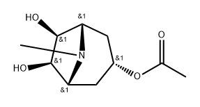 (1R,3s,5S,6S,7R)-6,7-Dihydroxy-8-methyl-8-azabicyclo[3.2.1]octan-3-yl acetate Structure