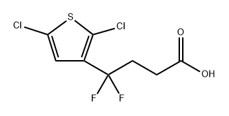 4-(2,5-dichlorothiophen-3-yl)-4,4-difluorobutanoic acid 구조식 이미지