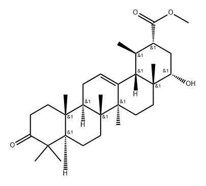 regelin Structure