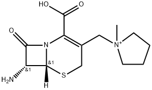 Cefepime impurity 5/Cefepime EP Impurity E/(6R,7R)-7-Amino-3-[(1-methylpyrrolidinio)methyl]-8-oxo-5-thia-1-azabicyclo [4.2.0]oct-2-ene-2-carboxylate Structure