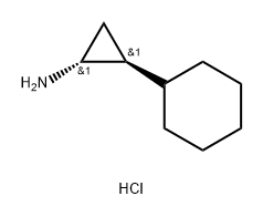 rac-(1R,2S)-2-cyclohexylcyclopropan-1-amine hydrochloride, trans Structure