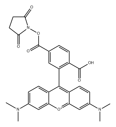 5-CARBOXYTETRAMETHYLRHODAMINE  SUCCINIMI Structure